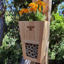 Load image into Gallery viewer, Garden Goggas & Pollination Printable (Digital Download)