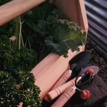 Load image into Gallery viewer, Little Gardener's Box