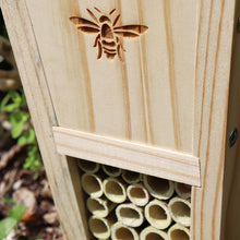 Load image into Gallery viewer, Gogga (Insect) Hotel Kit