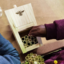 Load image into Gallery viewer, Gogga (Insect) Hotel Kit