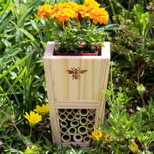 Load image into Gallery viewer, Gogga (Insect) Hotel Kit