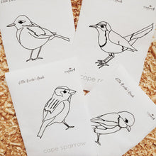 Load image into Gallery viewer, Little Birder's Guide (Digital Download)