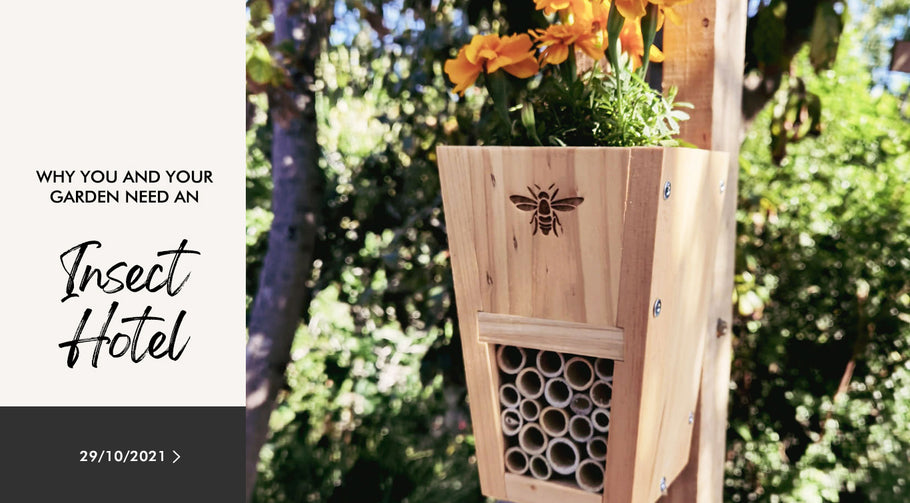 Why You and Your Garden Need an Insect Hotel