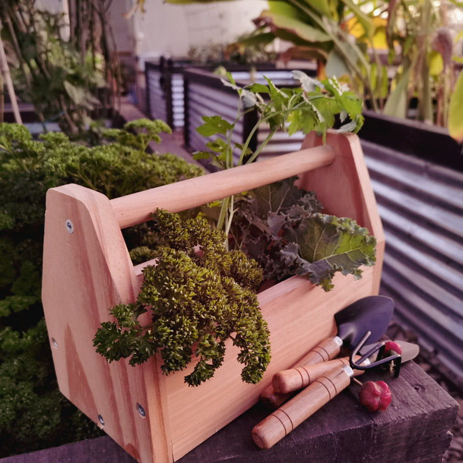 Little Gardener's Box
