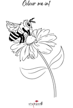 Load image into Gallery viewer, Garden Goggas &amp; Pollination Printable (Digital Download)
