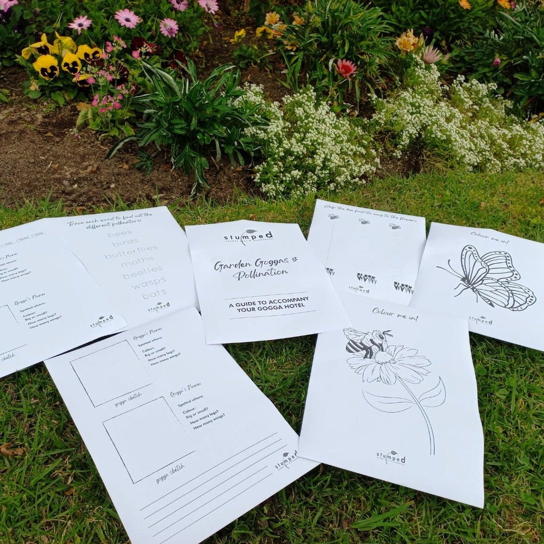 Garden Goggas & Pollination Printable (Digital Download)